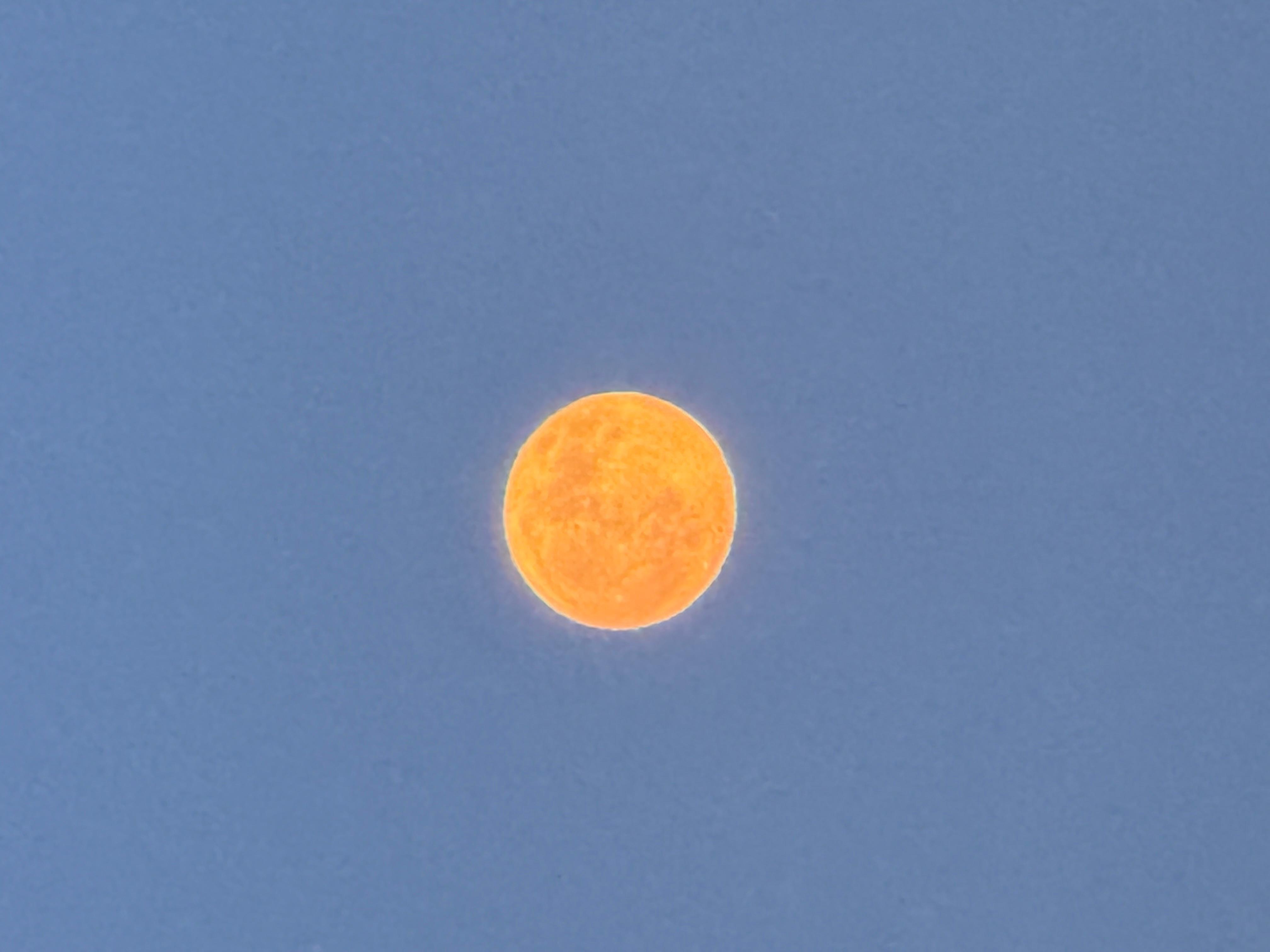12345678934 Live Image