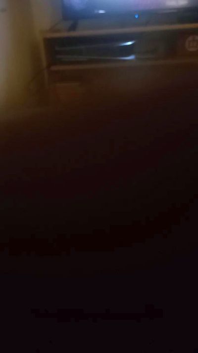 Cammamon55 Live Image