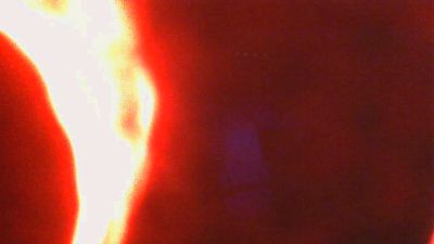 PICA_DAN Live Image