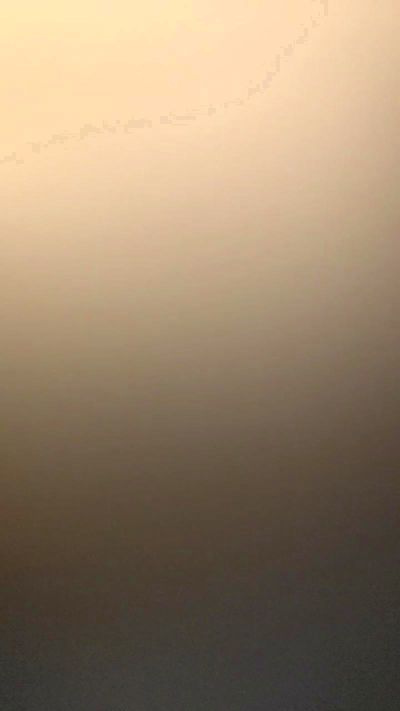 Porcello2023 Live Image