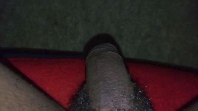 bbdya Live Image