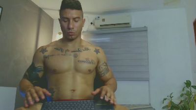 fagu_lion1 Live Image