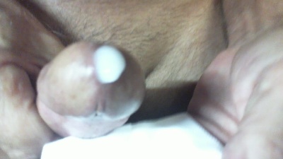 felinoid1 Live Image
