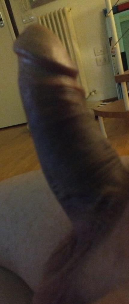 milkpigcum Live Image