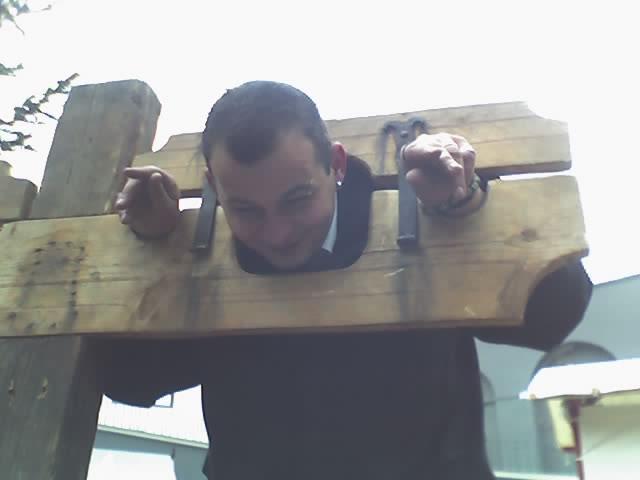 ngraupner Live Image