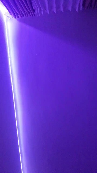 tamaratrans2 Live Image