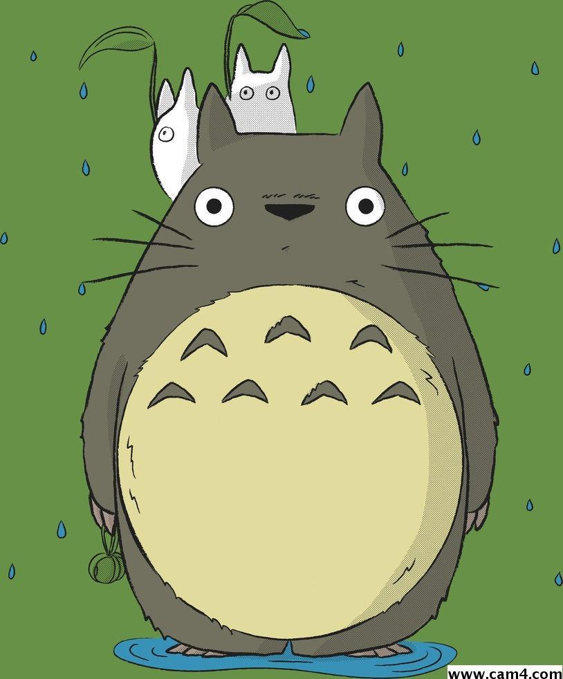 totoro81 Live Image