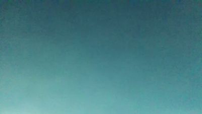 BIRDY1383 live from France