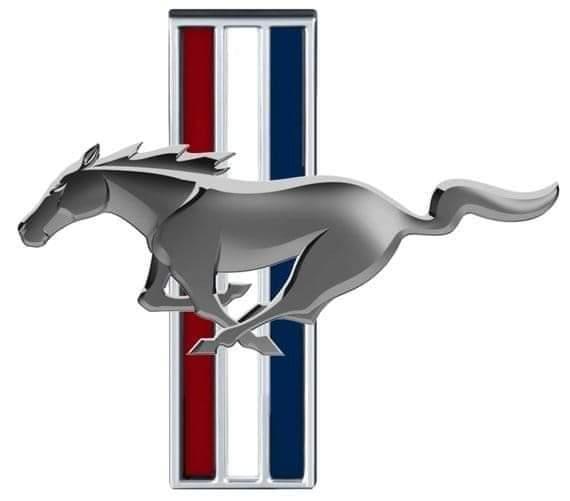 Mustang76220 live from France