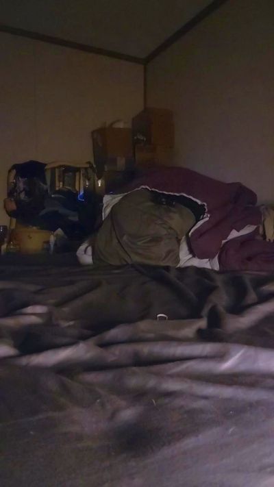 TinkrBll9181 live from United States