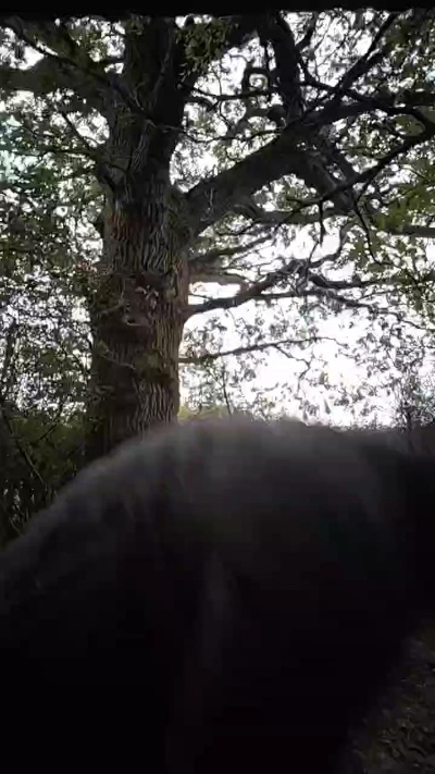 dave_naked live from United Kingdom