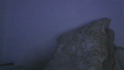 gutozam live from Brazil