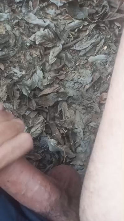 picaduura live from Brazil
