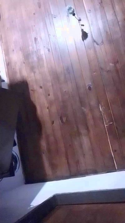 sativaindicaxxx live from Argentina
